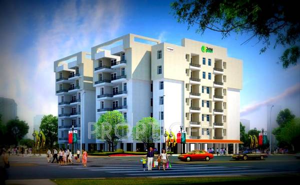 Elevation neoteric-group orchid-green Elevation