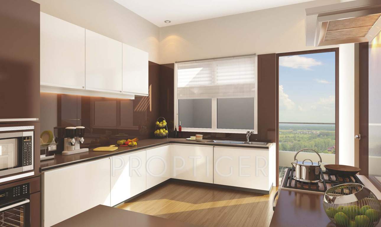 infinity Images for Main Other of Amar Amar Infinity