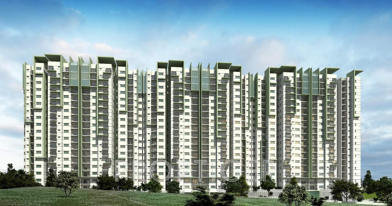  panorama Images for Elevation of Brigade Panorama