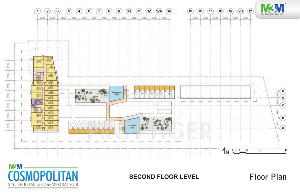  cosmopolitan Images for Cluster Plan of M3M Cosmopolitan