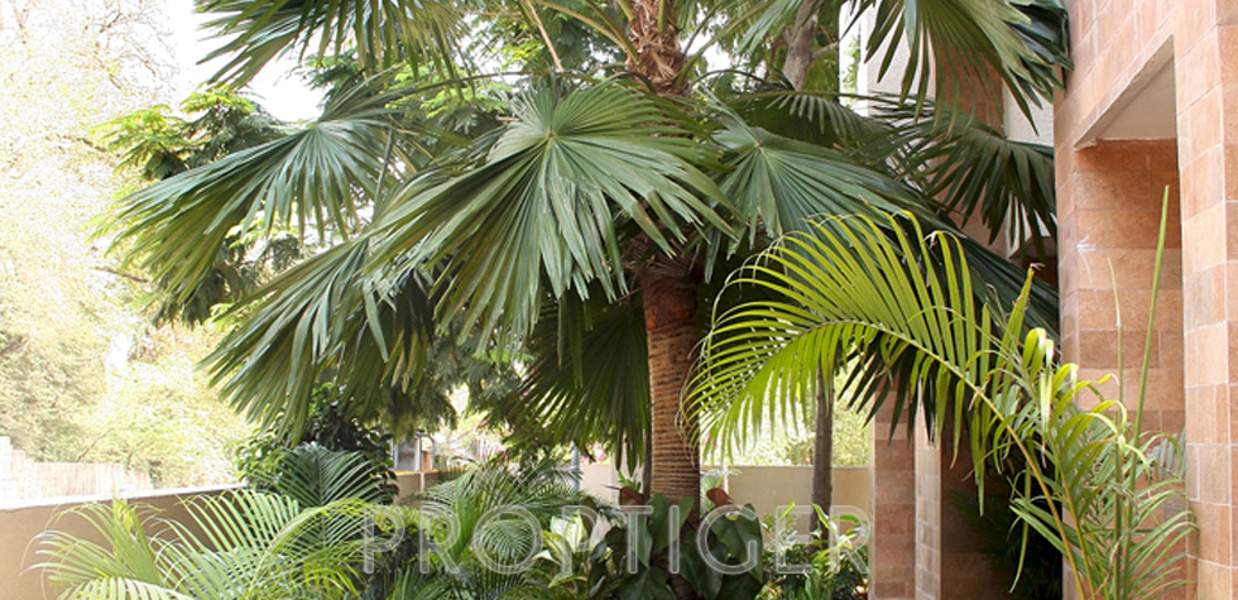 Images for Amenities of Manbhum Signature