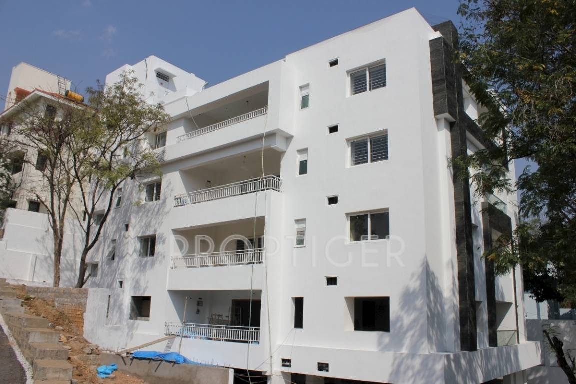 Images for Elevation of Manbhum Ivy