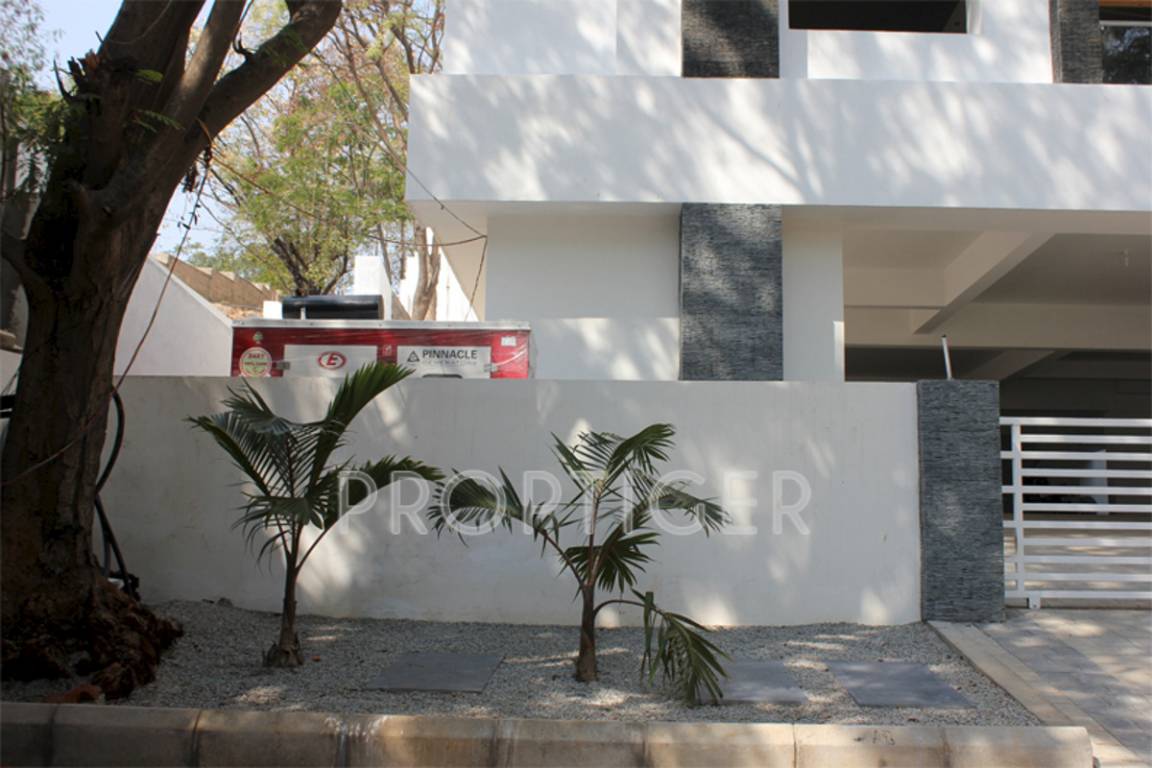 Images for Elevation of Manbhum Ivy