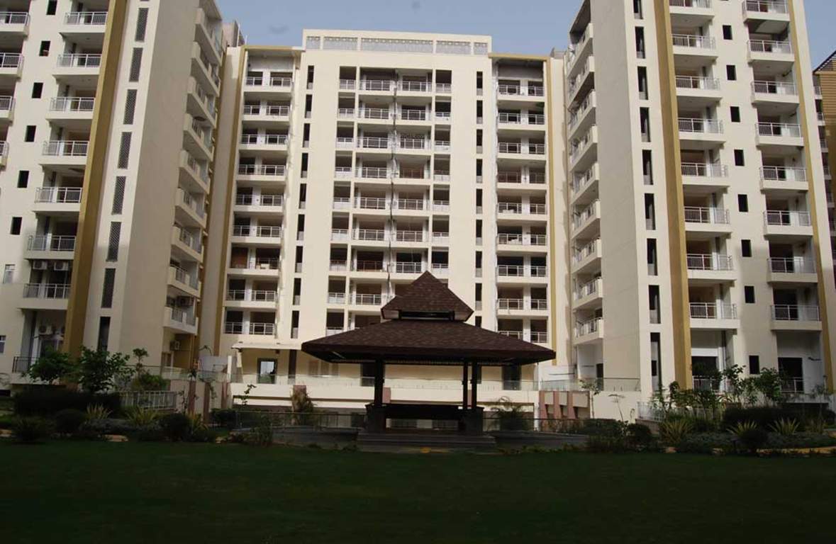 Images for Elevation of Manglam Rangoli Greens