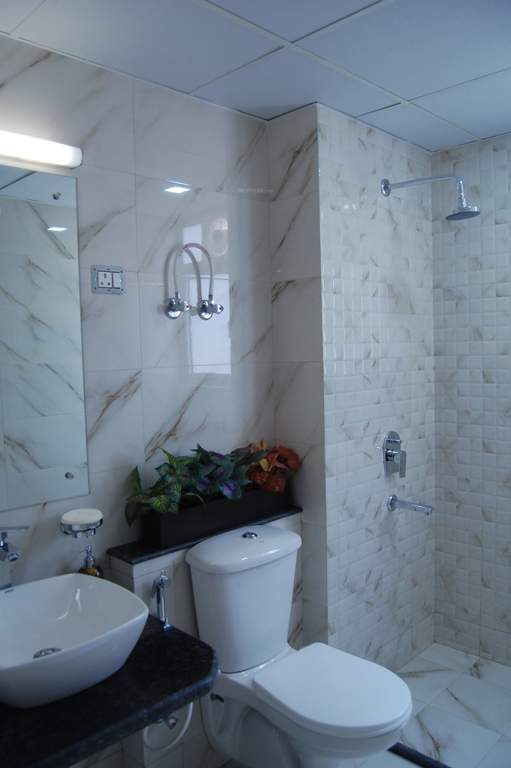 Images for Main Other of Manglam Rangoli Greens