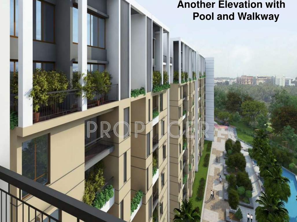  raj greenbay Images for Elevation of SNN Raj Greenbay