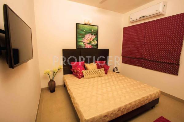 Images for Main Other of Casagrand Cherry Pick