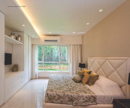  elanza Images for Main Other of Mittal Elanza