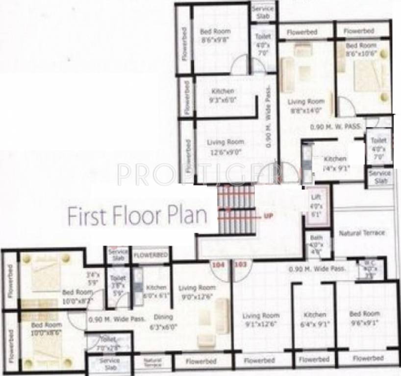 skyline builders and developers gold Gold Cluster Plan for 1st Floor