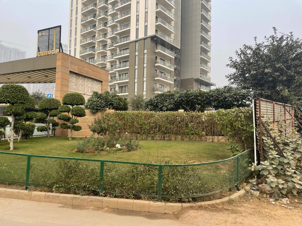  latitude Landscape Garden and Tree Planting