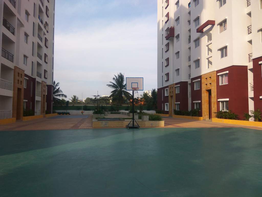 elena 5 Basketball Court