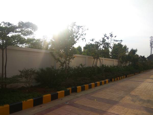 Others elena-5 Others