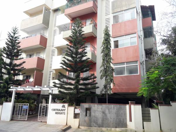 Elevation elite Elevation