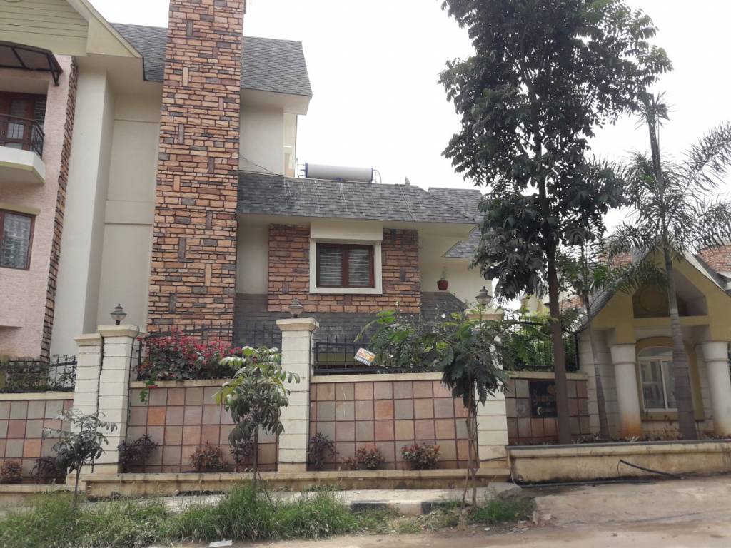  springvillae Elevation