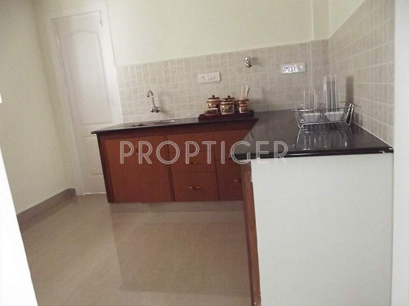  star city Images for Main Other of Ruby Star City