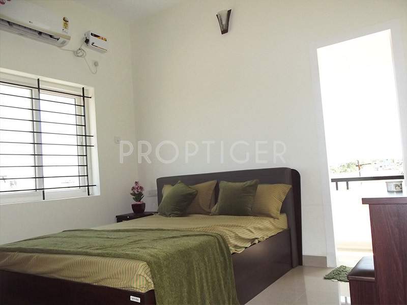  star city Images for Main Other of Ruby Star City