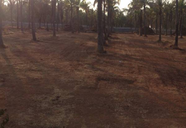 Elevation estate Elevation