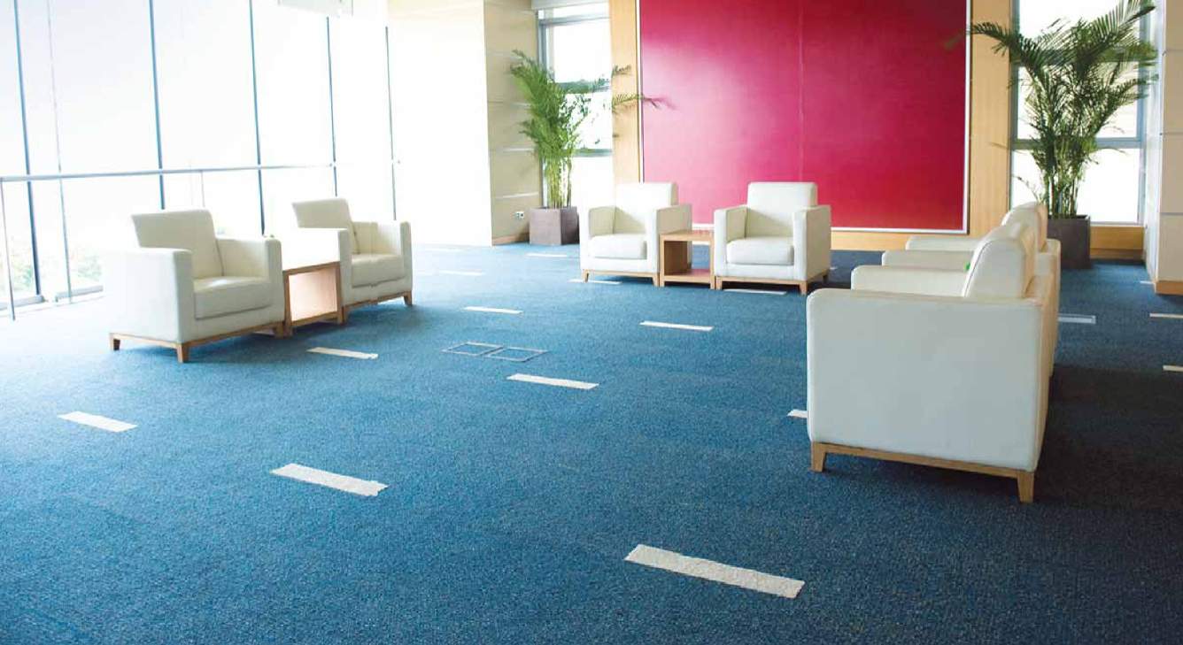  primeria Images for Main Other of Forefront Primeria