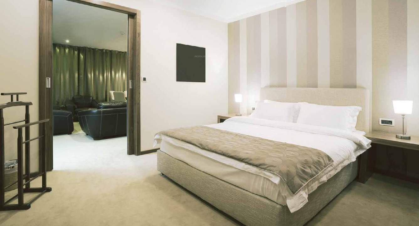  primeria Images for Main Other of Forefront Primeria