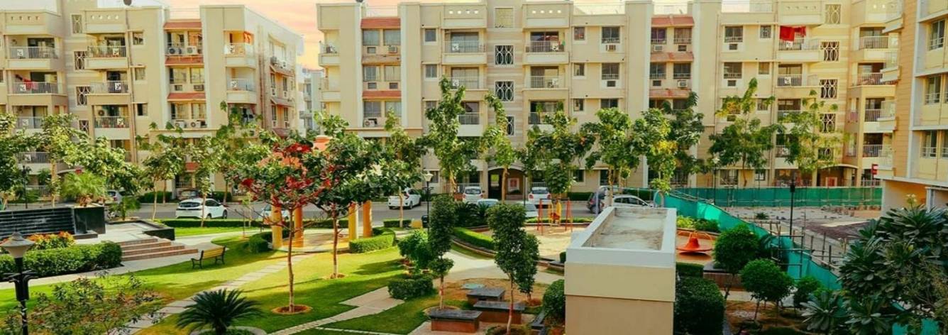  dwarka Landscape Garden and Tree Planting