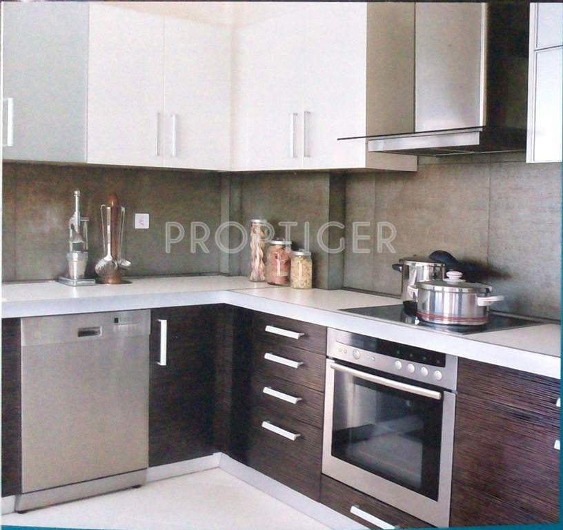  pearl Images for Main Other of Sukhwani Pearl