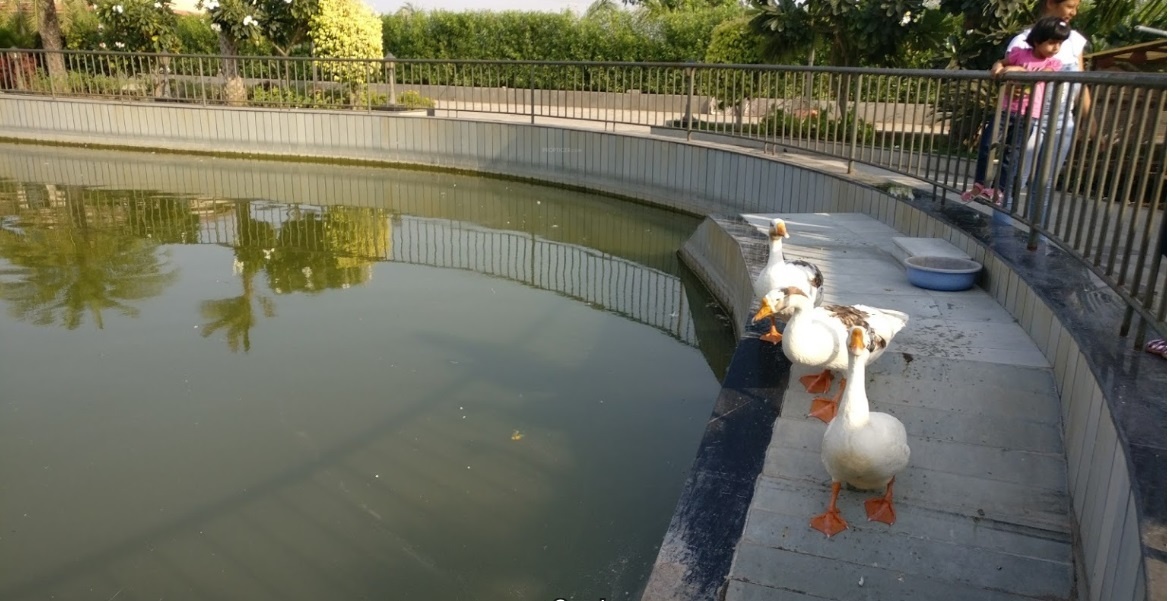 Vaishnodevi Farmville