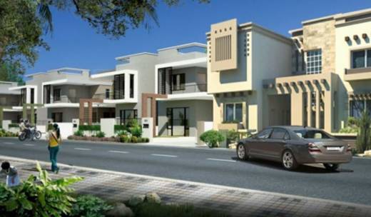 olive Elevation Elevation