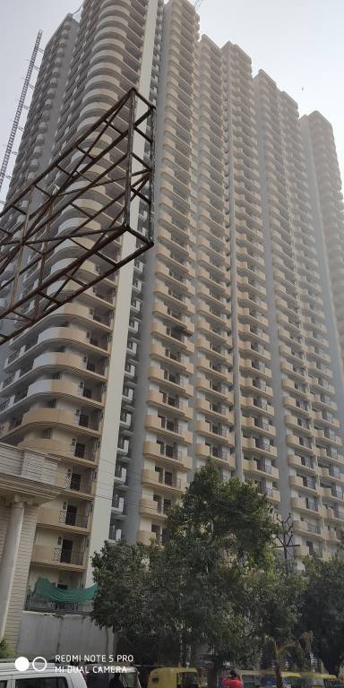 gold avenue Images for Project