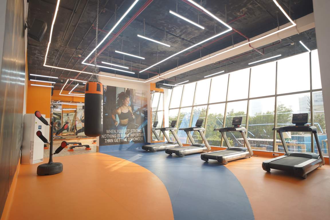 gold avenue Gymnasium