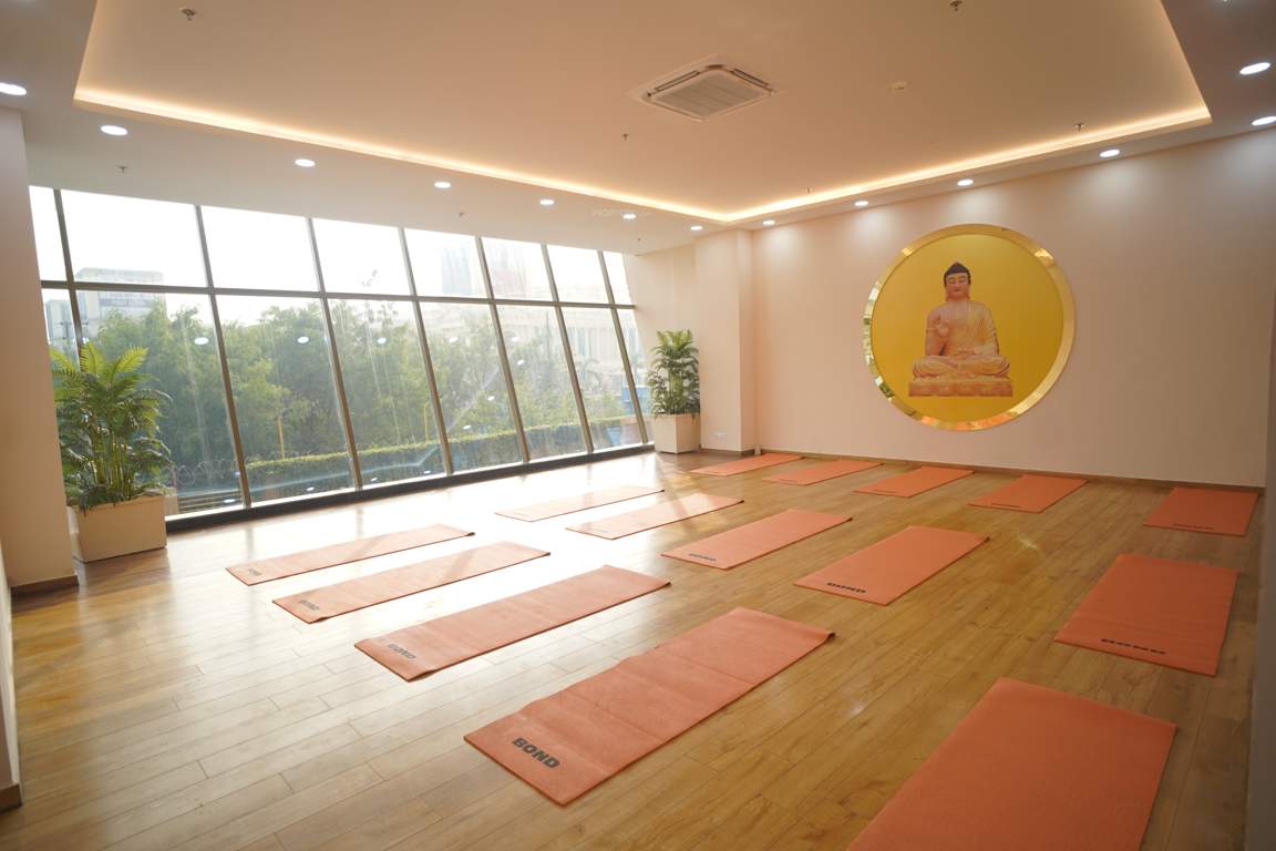 gold avenue Yoga/ Meditation Area