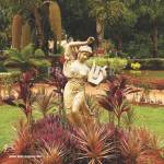 Images for Main Other of Bizpro Golden Mile Villa Images for Main Other of Bizpro Golden Mile Villa