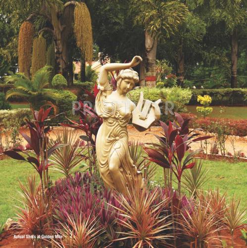 Images for Main Other of Bizpro Golden Mile Villa