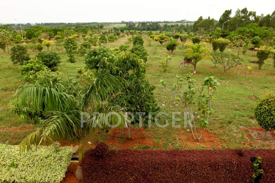 Images for Main Other of Bizpro Golden Mile Villa