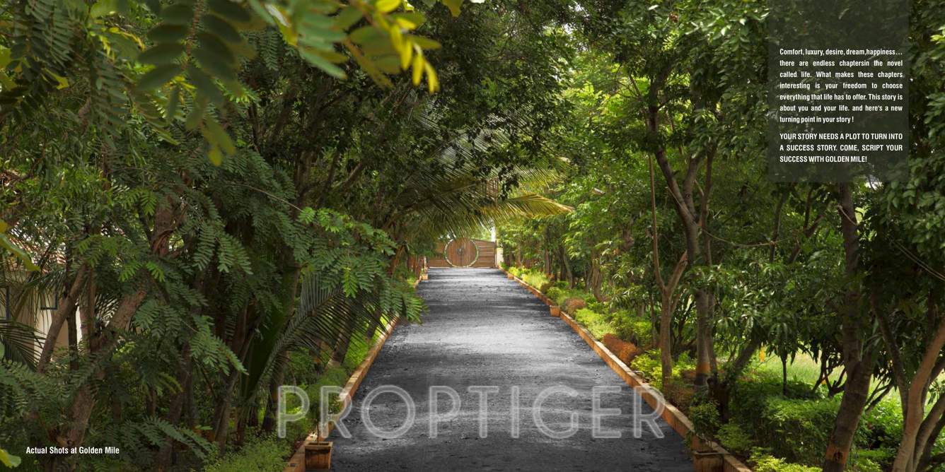 Images for Main Other of Bizpro Golden Mile Villa