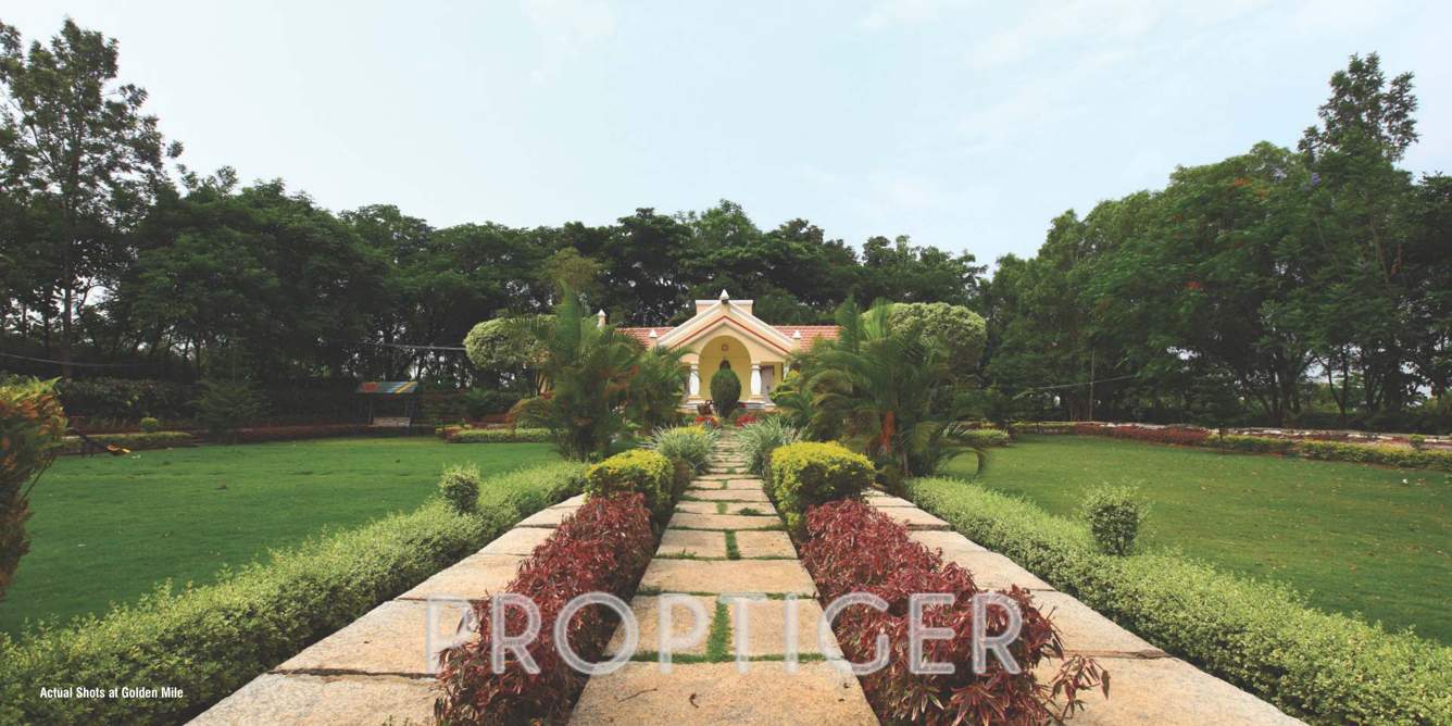 Images for Main Other of Bizpro Golden Mile Villa