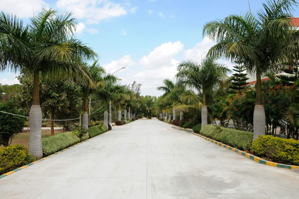 Images for Main Other of Bizpro Golden Mile Villa