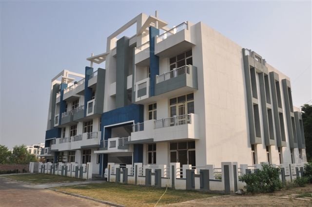 royale floors Elevation