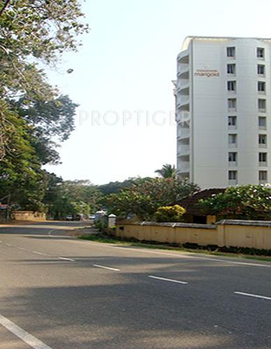  marigold Images for Elevation of Condor Builders Pvt Ltd Marigold