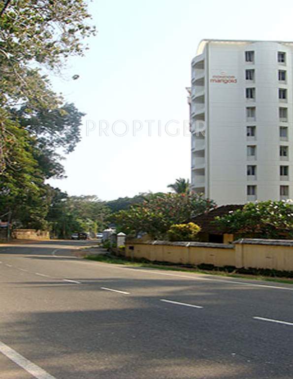 marigold Images for Elevation of Condor Builders Pvt Ltd Marigold