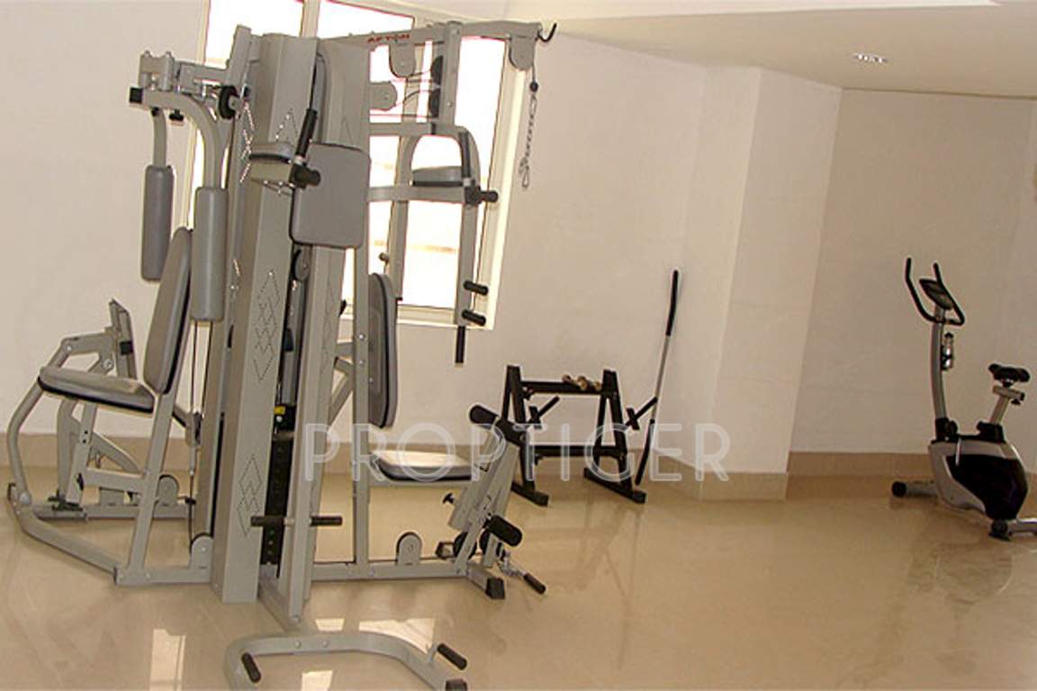 marigold Images for Amenities of Condor Builders Pvt Ltd Marigold