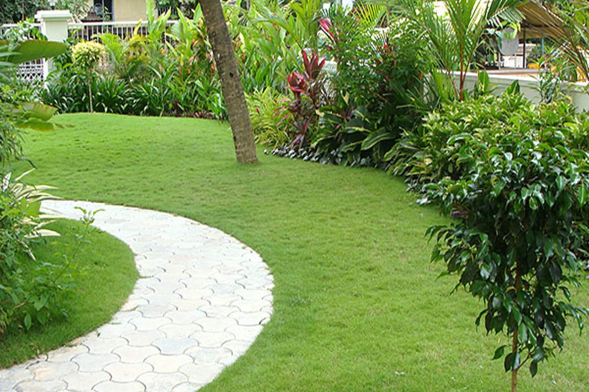 marigold Images for Amenities of Condor Builders Pvt Ltd Marigold