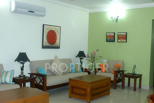  marigold Images for Main Other of Condor Builders Pvt Ltd Marigold