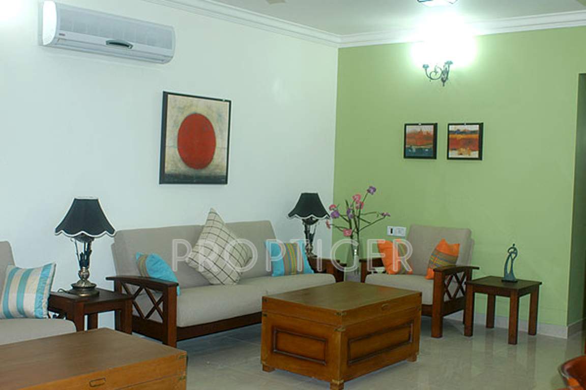 marigold Images for Main Other of Condor Builders Pvt Ltd Marigold