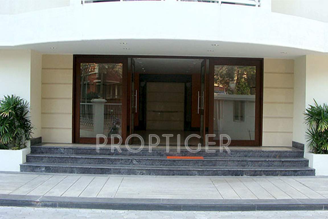 marigold Images for Main Other of Condor Builders Pvt Ltd Marigold