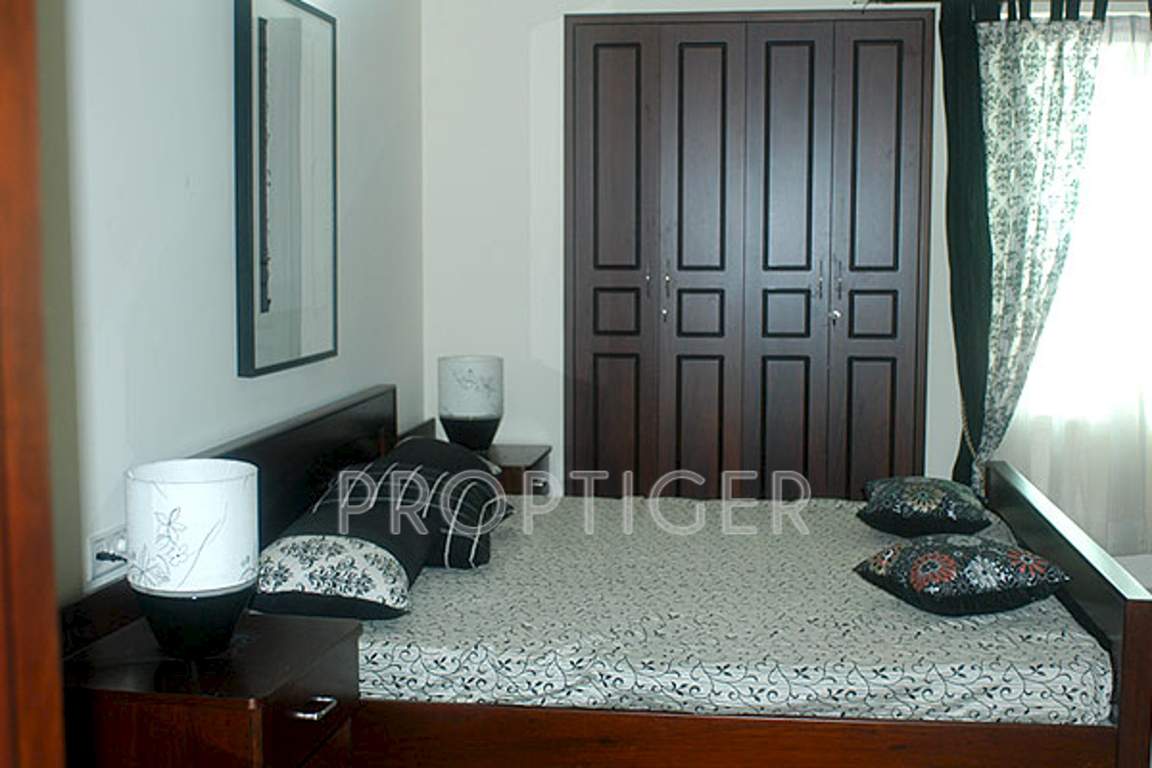 marigold Images for Main Other of Condor Builders Pvt Ltd Marigold