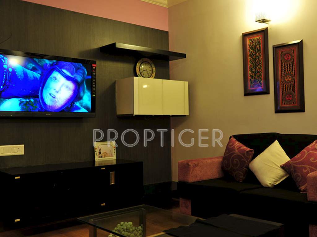 condor builders pvt ltd daffodils Main Other