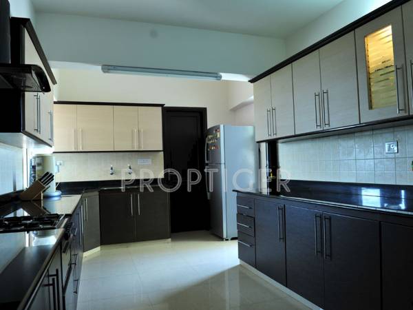 condor-builders-pvt-ltd daffodils Main Other