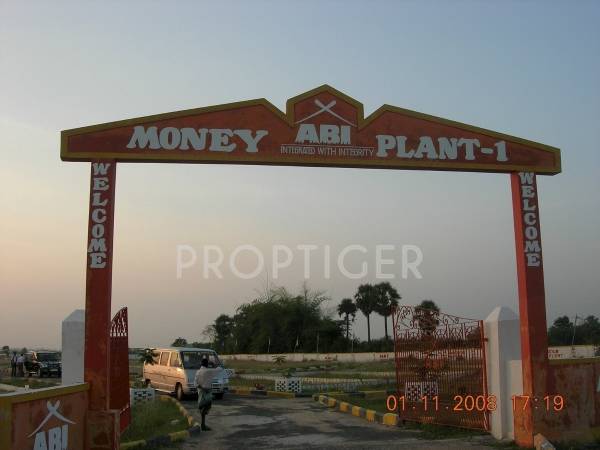 Images for Main Other of ABI Money Plant