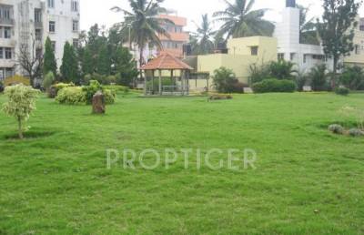 Images for Main Other of BBM Squirrels Oak