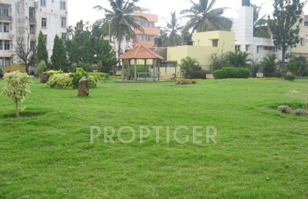 Images for Main Other of BBM Squirrels Oak